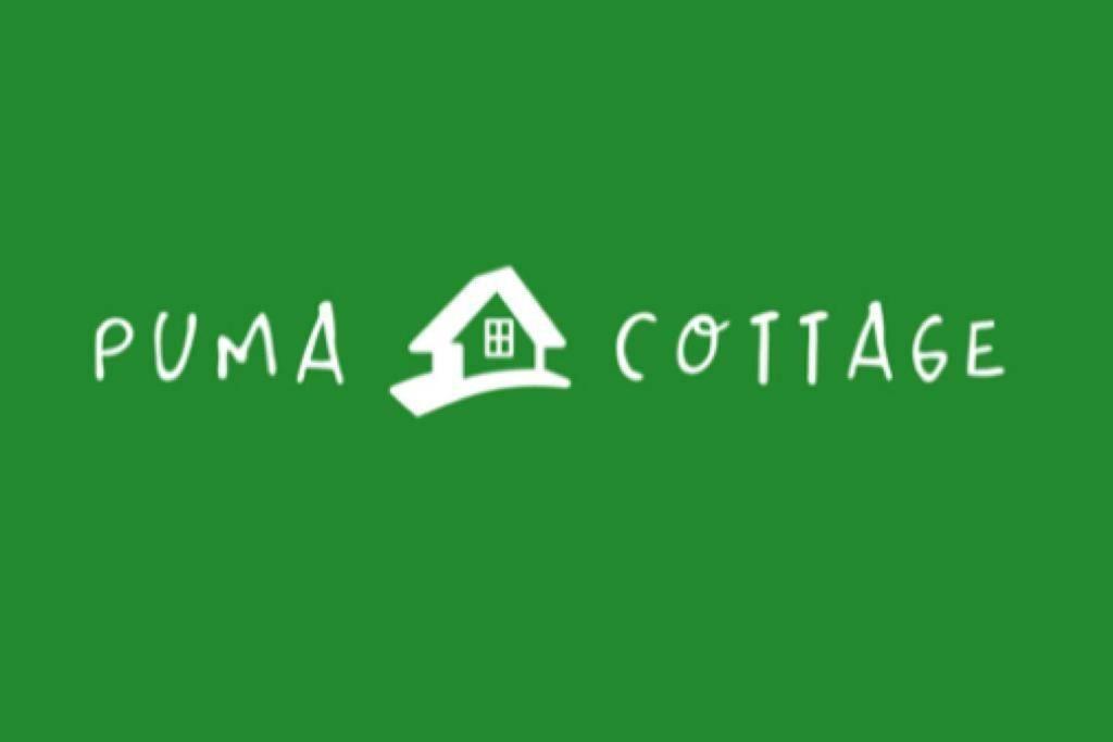 Puma Cottage Horcón Exterior foto